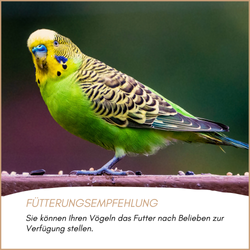 04-emotionales-bild-mit-qualitaet.png 04-emotionales-bild-mit-qualitaet.png