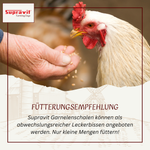getrocknete-garnelen-05.png