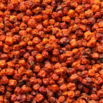 ebereschenbeeren-quadr.png