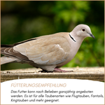 04-emotionales-bild-mit-qualitaet-superdiaet.png