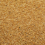 senegalhirse-quadr.png