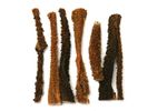 pansen-getrockent-5-2.jpg