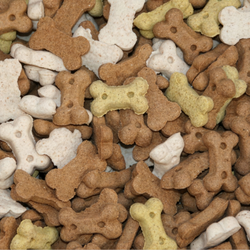 00-back-snackies.png 00-back-snackies.png