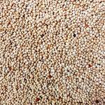 silberhirse-quadr.png