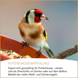 04-emotionales-bild-mit-qualitaet.png 04-emotionales-bild-mit-qualitaet.png
