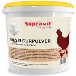 00-kieselgur.png 00-kieselgur.png