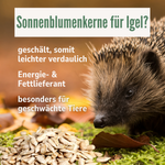 05-neu.png