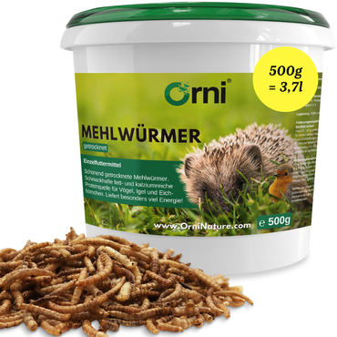 Orni getrocknete Mehlwürmer