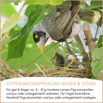 04-fuetterung-1.png