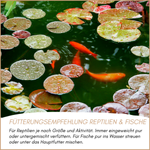 04-fuetterung-2.png