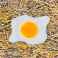 Riesen-Fruchtgummi Spiegeleier ca. 25 Stück Riesen-Fruchtgummi Spiegeleier ca. 25 Stück Bild 2