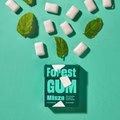 Forest Gum Minze, plastikfreies Kaugummi, 18 Packungen je 20g Forest Gum Minze, plastikfreies Kaugummi, 18 Packungen je 20g Bild 6