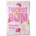 Forest Gum Mushroom Magic, Fruchtgummi, 12 Beutel je 100g Forest Gum Mushroom Magic, Fruchtgummi, 12 Beutel je 100g Bild 2