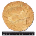 The Bitery Macademian White Chocolate Cookie 10 Packungen je 60g The Bitery Macademian White Chocolate Cookie 10 Packungen je 60g Bild 4