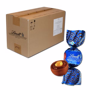 Lindt Nocciolatte 3kg Schokolade Praline 226 Stück Bild 1