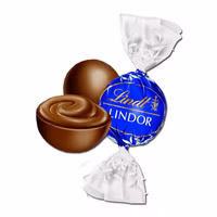 Lindt Lindor Kugel Zartbitter 3kg, Schokolade 240 Stück Lindt Lindor Kugel Zartbitter 3kg, Schokolade 240 Stück Bild 3