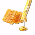 Hellma Honig-Sticks, Blütenhonig, Portionen, 100 Stück Bild 5