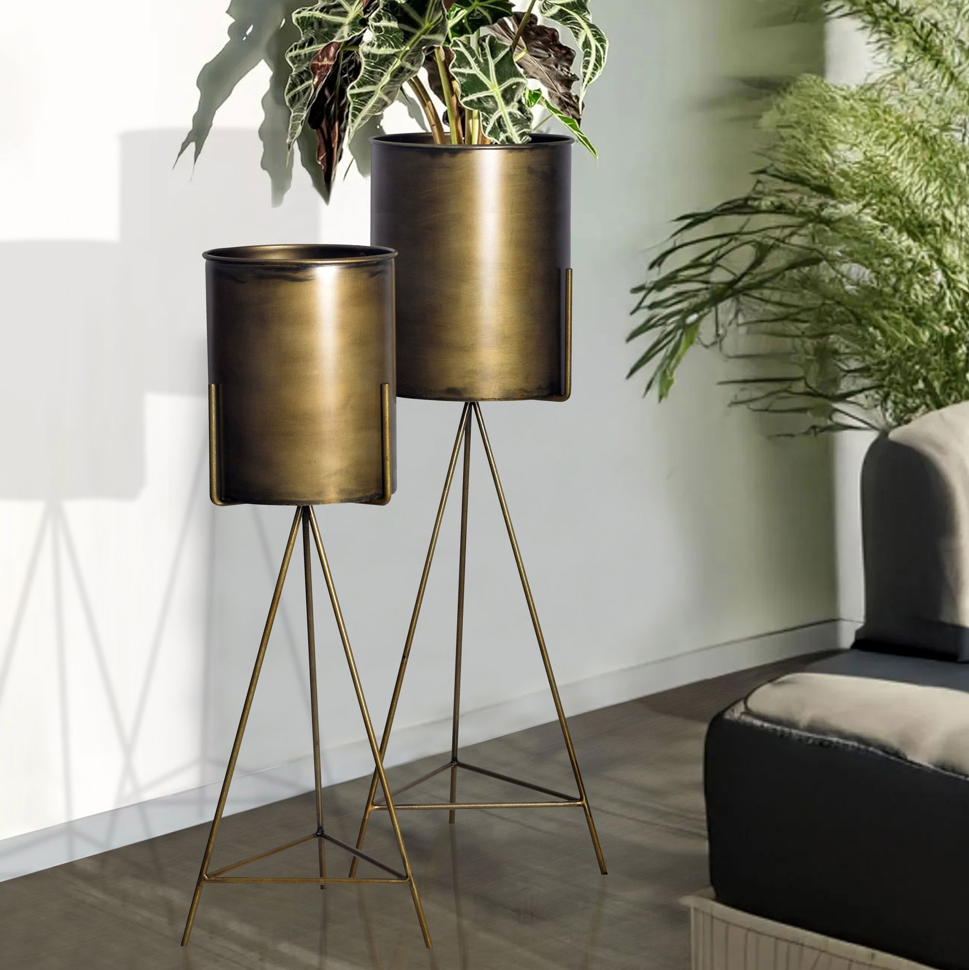 Blumentopf FineBuy Pflanzenkübel 2er Set Metall Gold Rund Pflanzgefäß Hoch Eisen – Ansicht 1