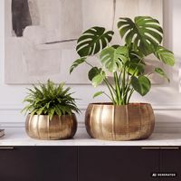 Pflanzgefäß 2er Set FineBuy Metall Schale Deko Blumentopf Rund Hammerschlag – Ansicht 1