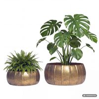 Pflanzgefäß 2er Set FineBuy Metall Schale Deko Blumentopf Rund Hammerschlag – Ansicht 6