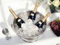 Sektkühler Champagnerkühler 37cm Flaschenkühler XXL Getränkekühler Weinkühler – Ansicht 5