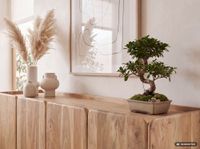 Sideboard Akazie Massivholz 180cm Anrichte Kommode 4 Türen Holzkommode Handmade – Ansicht 4