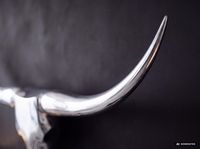FineBuy Deko Geweih Bull M Aluminium Design Hörner 100cm Wanddekoration Silber – Ansicht 8