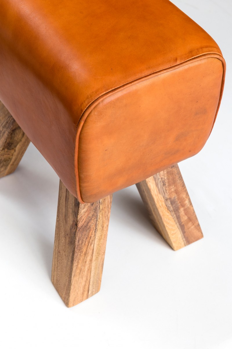 Design Sitzhocker Springbock Fußhocker Turnhocker Turnbock Pferd Leder Jeans – Ansicht 4