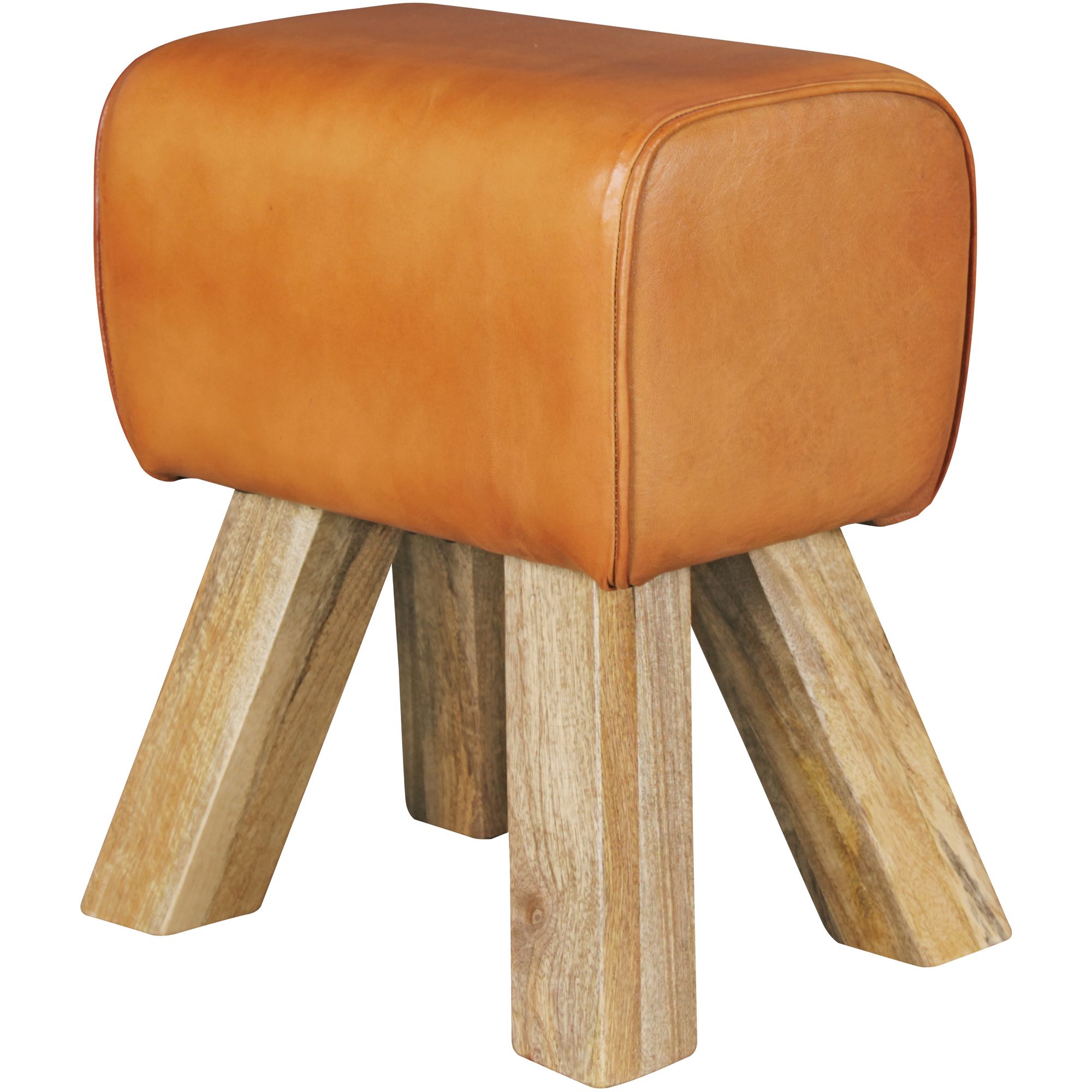 Design Sitzhocker Springbock Fußhocker Turnhocker Turnbock Pferd Leder Jeans – Ansicht 5
