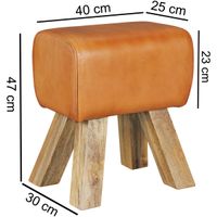 Design Sitzhocker Springbock Fußhocker Turnhocker Turnbock Pferd Leder Jeans – Ansicht 3