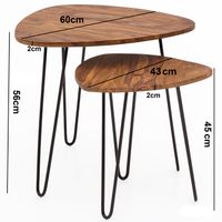FineBuy 2er Set Beistelltisch FB51455 Sheesham Holz Metall Wohnzimmer Couchtisch – Ansicht 3
