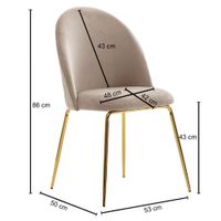 Esszimmerstuhl FineBuy Küchenstuhl 2er Set Samt Goldene Beine Schalenstuhl Stuhl – Ansicht 3
