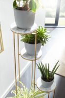 Blumenständer FineBuy Blumensäule 36,5x107,5x36,5 cm Marmor Weiß Pflanzenständer – Ansicht 5