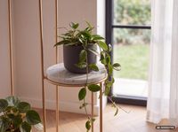 Blumenständer FineBuy Blumensäule 36,5x107,5x36,5 cm Marmor Weiß Pflanzenständer – Ansicht 4