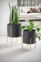 Blumentopf FineBuy Pflanzenkübel 2er Set Metall Schwarz Gold Rund Pflanzgefäß – Ansicht 2