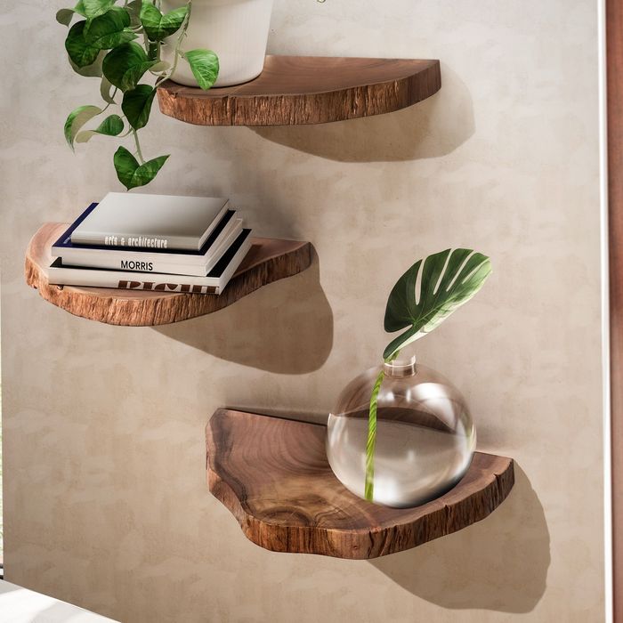 FineBuy Wandregal 3er Set Akazie Vollholz Hängeregal Baumscheibe, Natur Pflanzentreppe für die Wand, Schweberegal Hängend mit Baumkante, Blumentreppe Baumstamm Modern 4251757719608