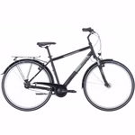 AVANTI-287s-50558855.png