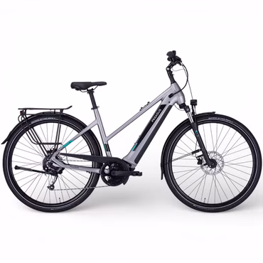 PEGASUS EVO CX 750 Wh Akku 28 Zoll E-Bike Trekking 55 cm Trapez 9 Gang Silber inkl. E-Bike-Display (Bosch)