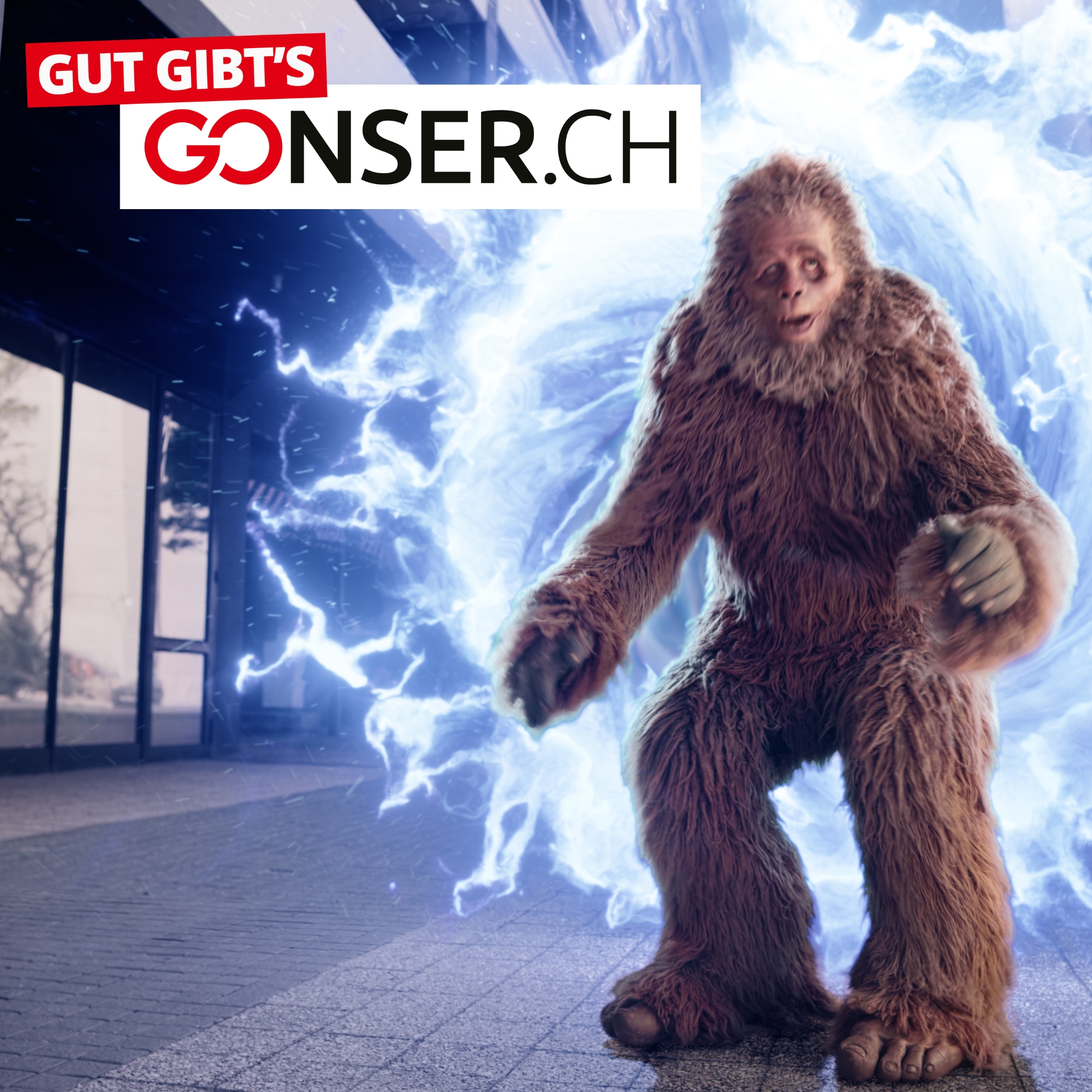 Markenkampagne Markenkampagne