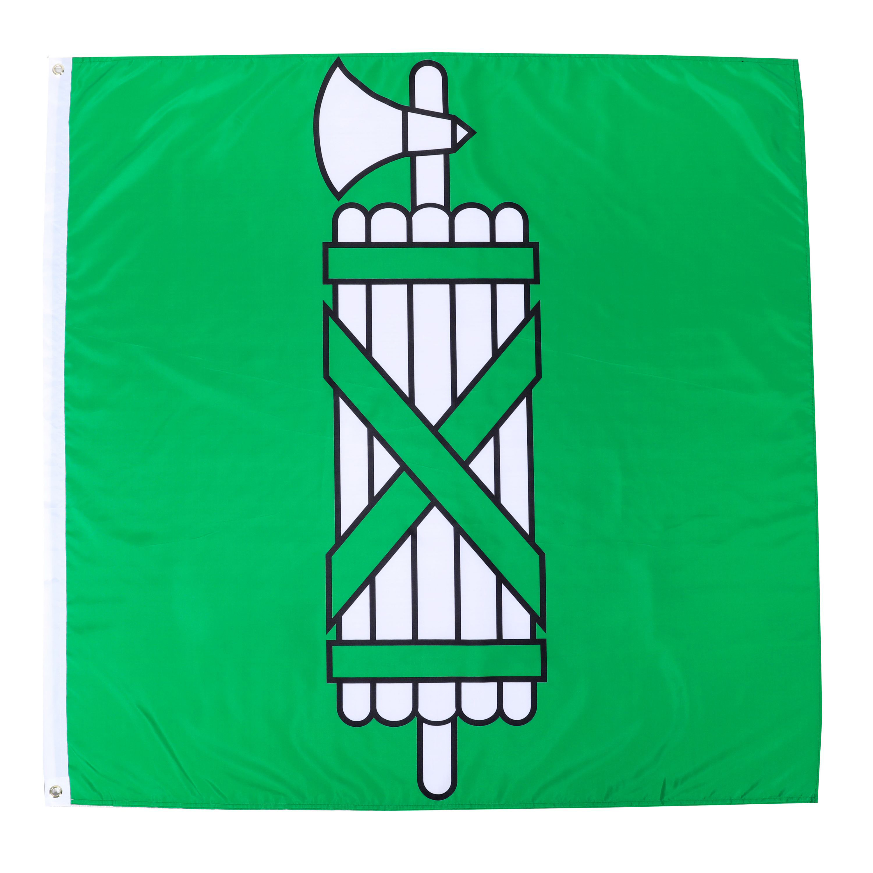 Kantonsflagge St. Gallen 120 x 120 cm