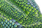Bestway-Schwimmtier-Buddy-Crocodile--1-.jpg