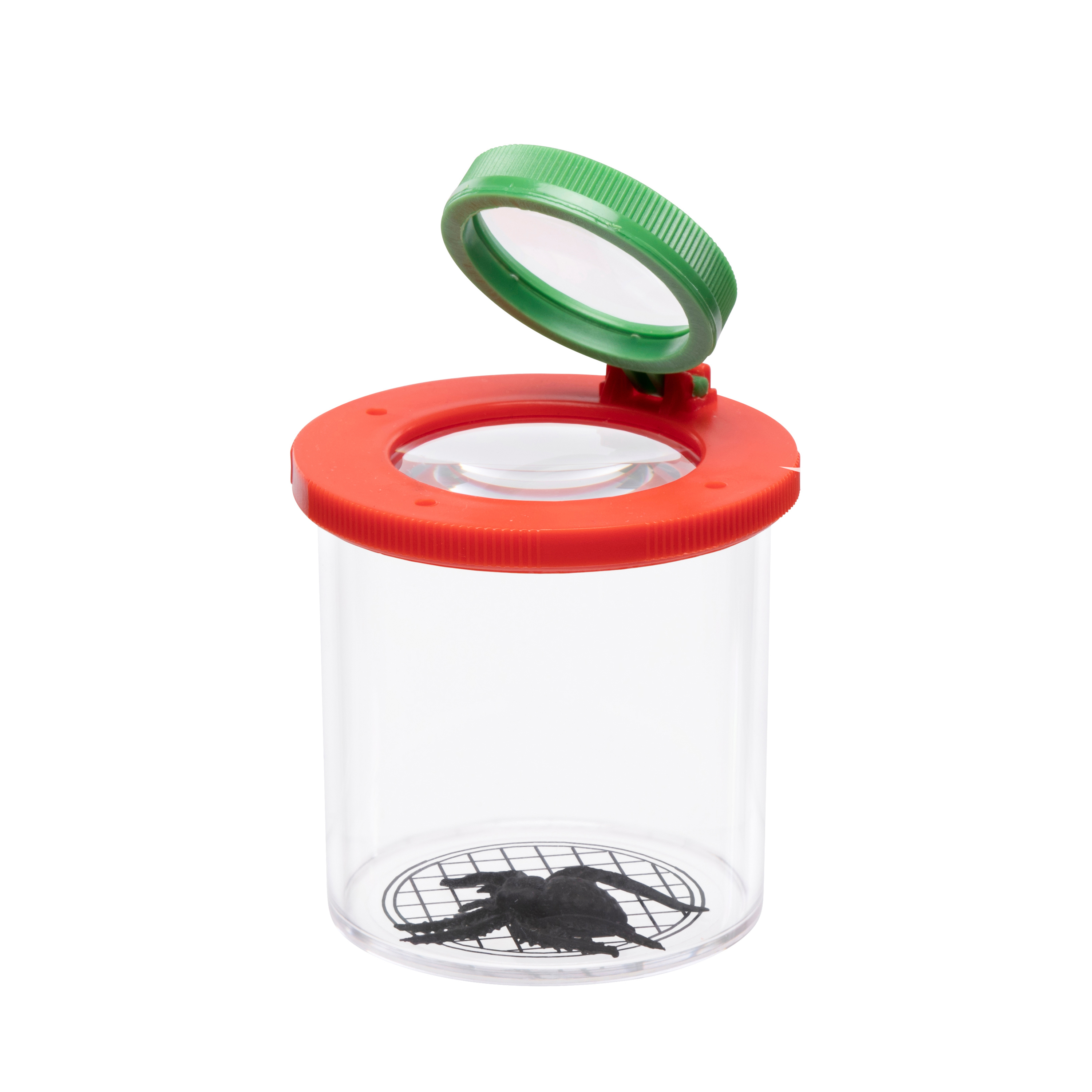 Insekten Beobachtungsbox mit Spinne