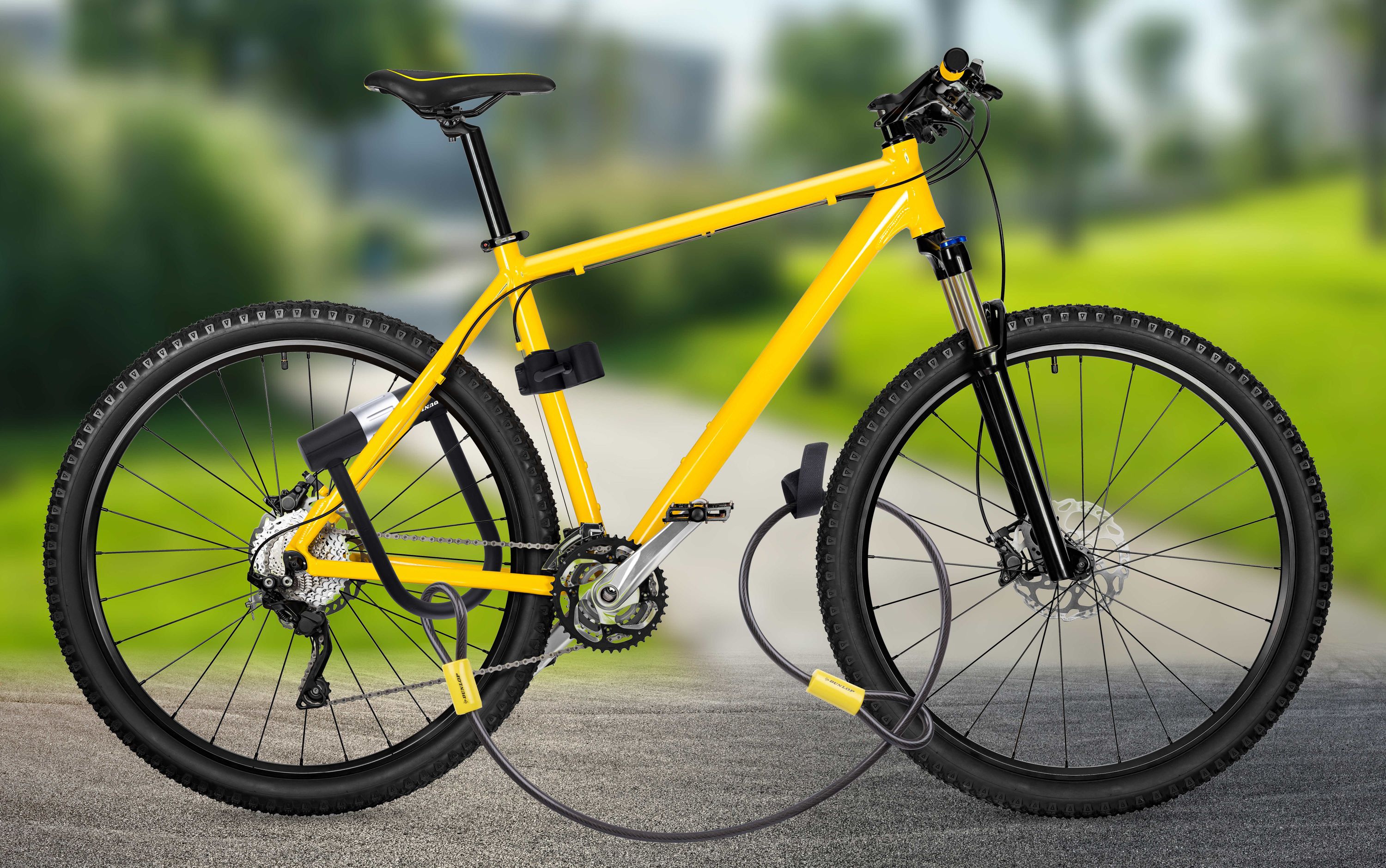 rose fahrrad ständer für Backroad+/Backroad AL Plus/Sneak+/Root Miller+ 2023-2026, Leichtbau aus Aluminium Stabil & rutschfest rutschfeste Gummifüße,C C Sport & Freizeit $300.00 to $399.99 Auswahl:MTB/Trekking - FP972ZU Mädchen Set: Mütze, Schal