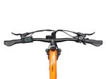 E-Bike-Mountainbike-29-Zoll-THUNDER-S-orange-7.jpg