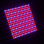 LED Pflanzenlampe 31 x 31 cm Unterseite im Dunkeln