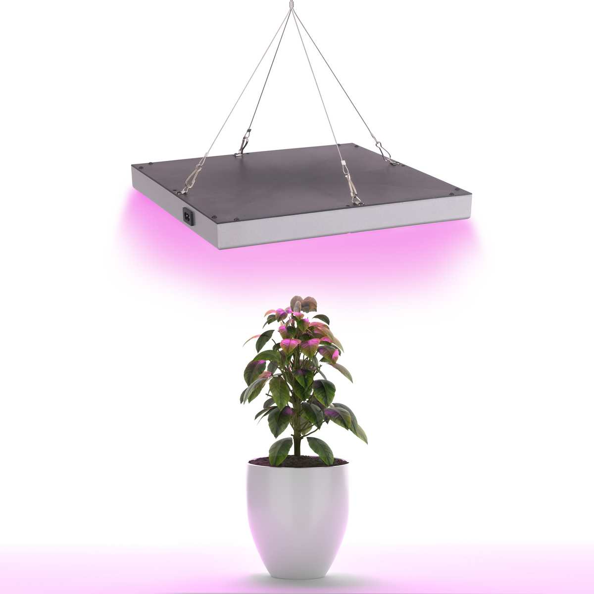 LED Pflanzenlampe 31 x 31 cm Anzeigebild