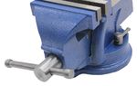 Schraubstock Amboss 20 cm Nahaufnahme