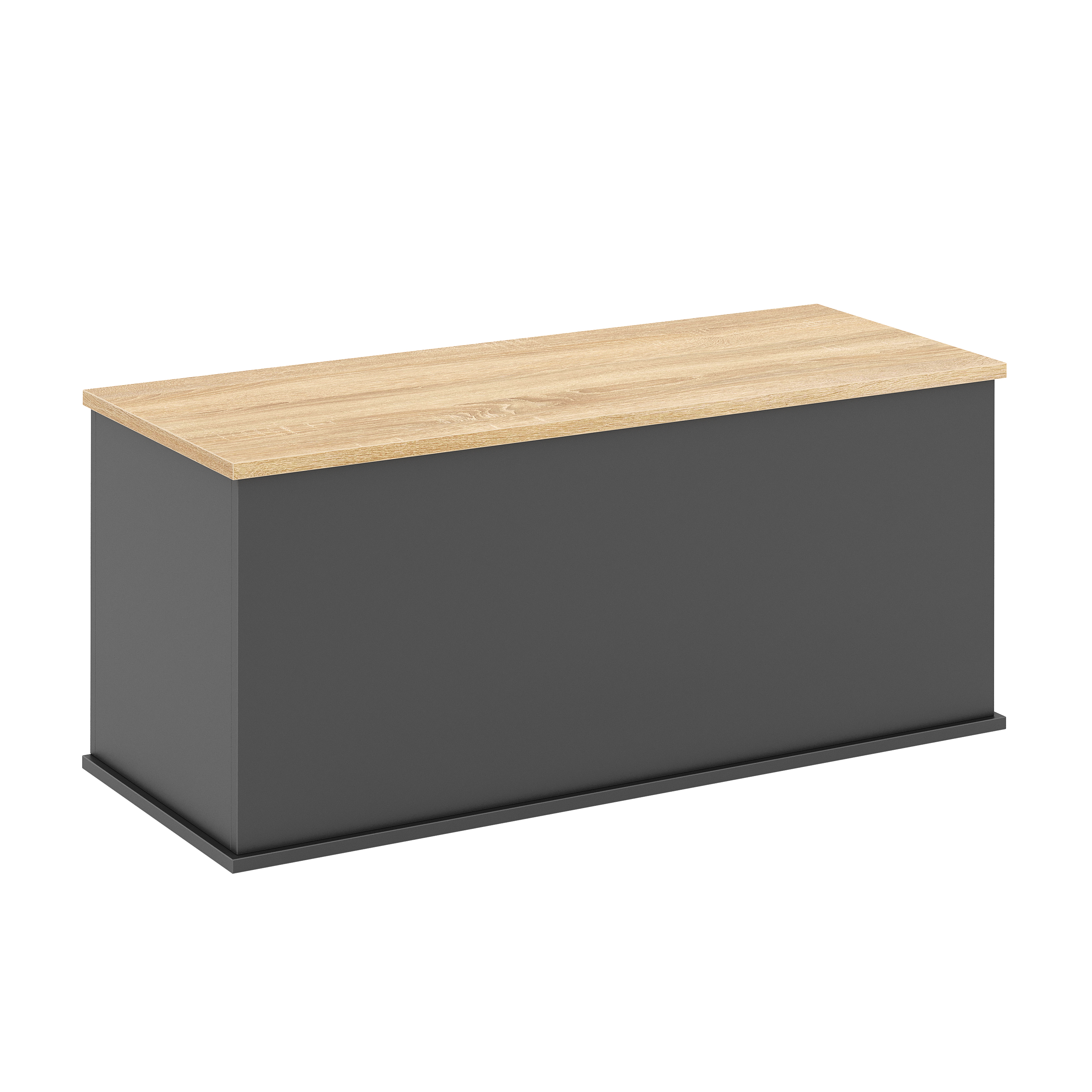 Truhe ARLES 100 x 40 x 47 cm anthrazit