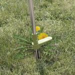 Unkrautentferner mit Stiel 100 cm im Garten