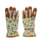 Gartenhandschuhe Grösse 8 Oberseite